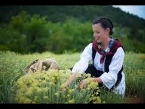 Poslušajte novi hercegovački hit ”Sadim smilje ni do čeg’ mi nije”