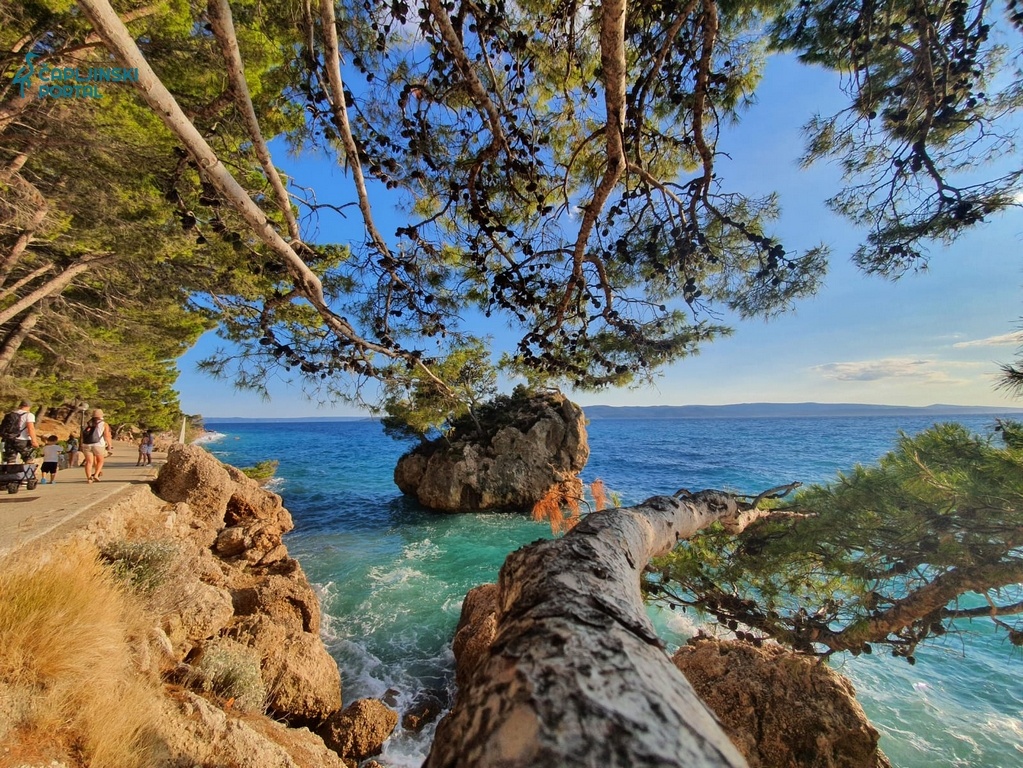 Foto: Čapljinski portal