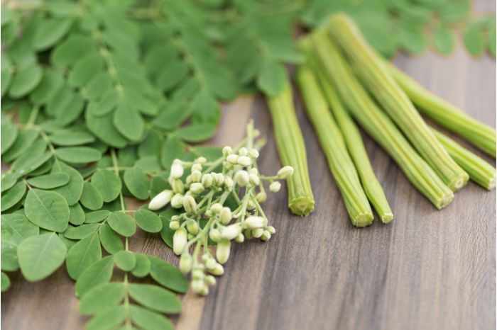 moringa