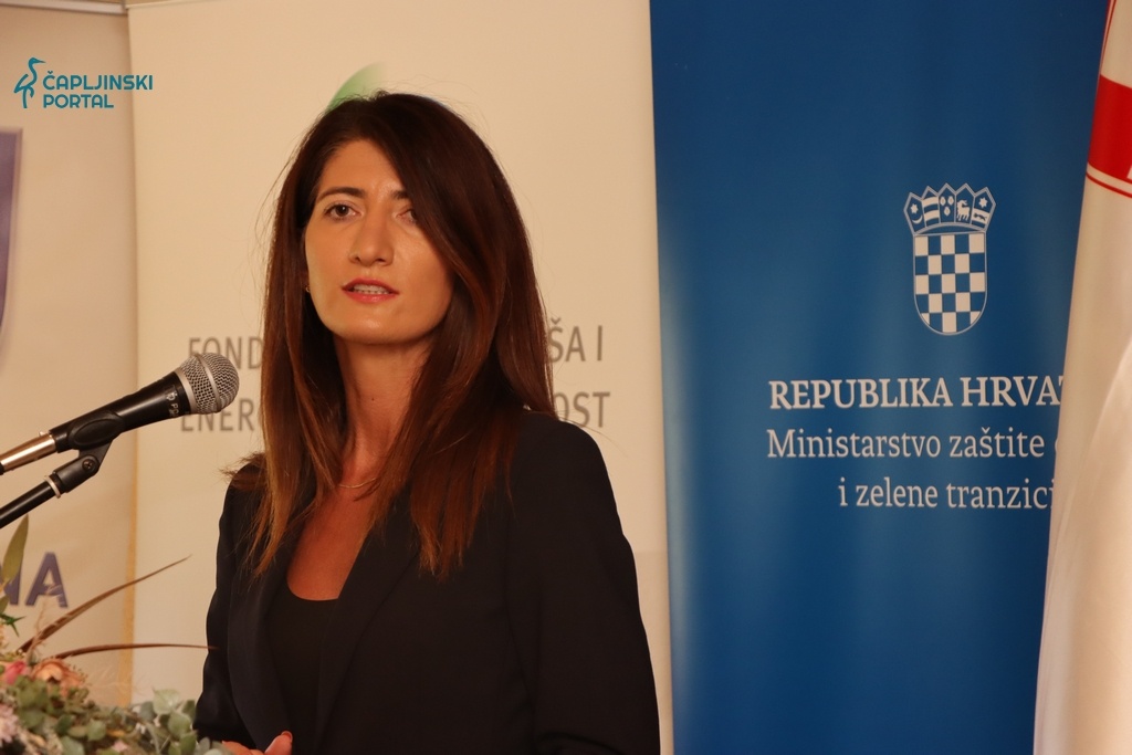Darjana Filipović