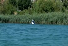 Pronađeno tijelo muškarca koji je nestao u Neretvi