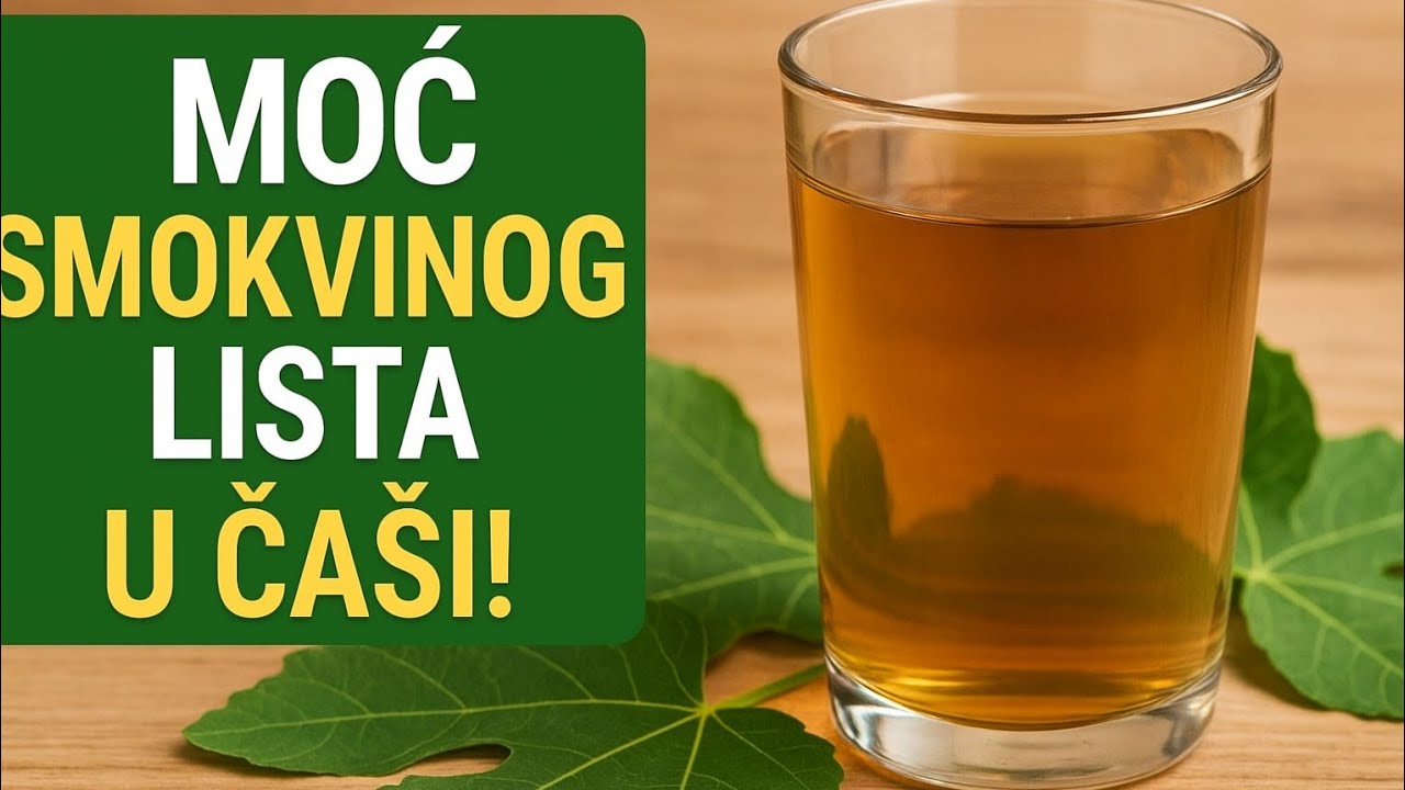 VIDEO | Recept za zdravlje: Sok od smokvina lista koji možete napraviti za 15 minuta