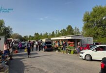 Cijene stabilne, ponuda obilna: Jesenski tjedan na Veletržnicu donio domaći limun