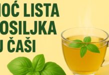 VIDEO | Doktori u šoku – MOĆ čaja od bosiljka koju niko ne spominje!