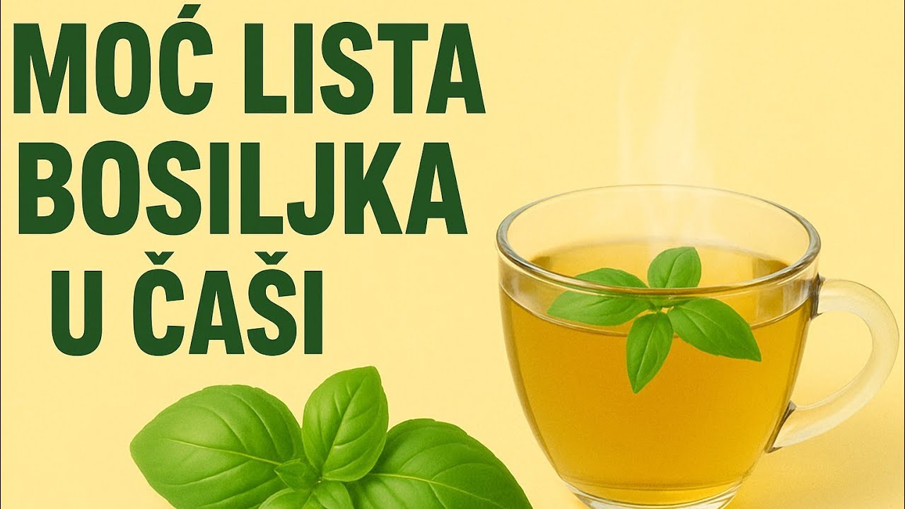 VIDEO | Doktori u šoku – MOĆ čaja od bosiljka koju niko ne spominje!