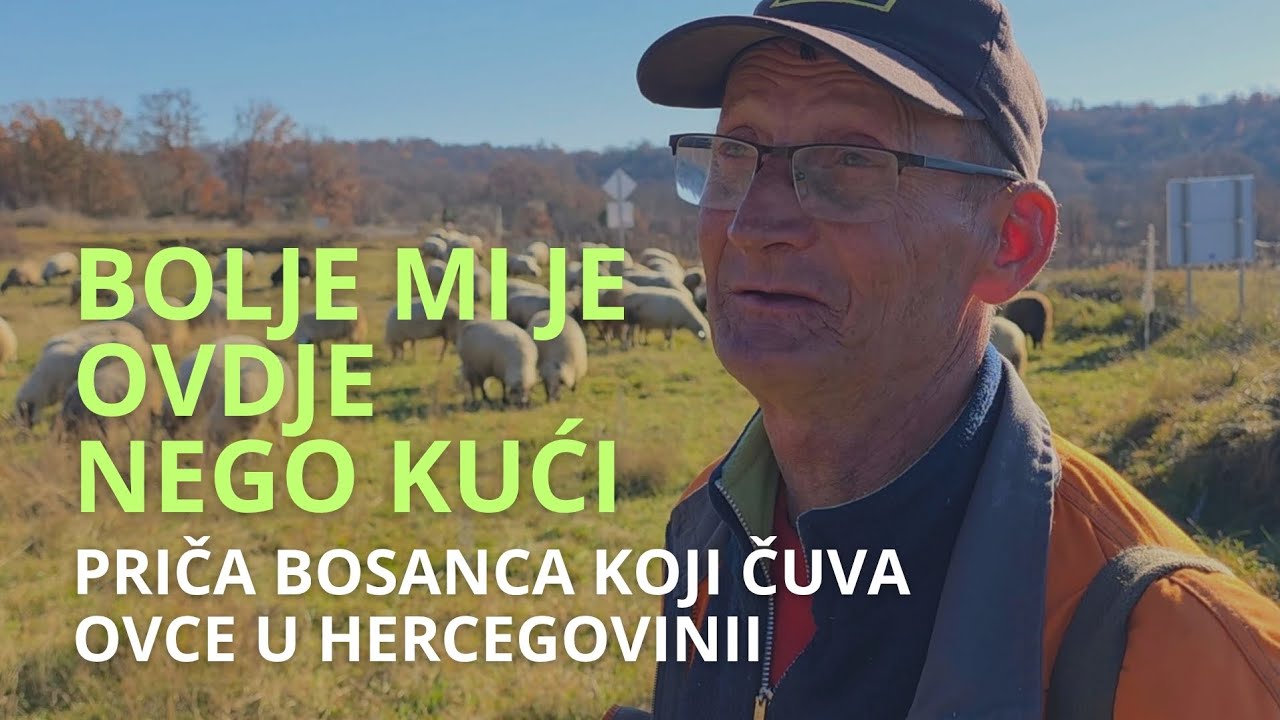 VIDEO | Ispovijest Bosanca koji čuva ovce u Hercegovini – “Bolje mi je ovdje nego kod kuće”