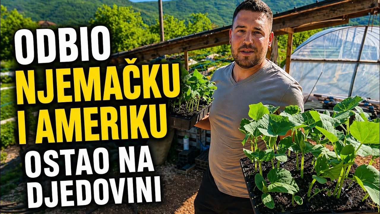 VIDEO | Rocky odbio Njemačku i Ameriku: Ostao na djedovini i proizvodi 150.000 sadnica godišnje