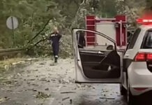 VIDEO | Snažno nevrijeme oborilo stablo na M17 u Ševašu