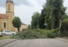 FOTO | Čapljina najpogođenija nevremenom: Stabla padala po cesti i vozilima