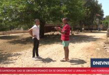 VIDEO | Janjetina i voćnjaci i dalje hrane Stolac: Ovo su priče ljudi koji ne odustaju