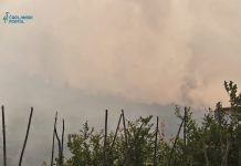 Čapljina: Požar pod kontrolom; nema materijalne štete