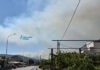 FOTO | Gori Crno brdo kod Čapljine: Veliki stup dima nadvio se nad grad, vatrogasci na terenu