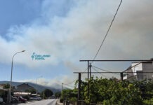 FOTO | Gori Crno brdo kod Čapljine: Veliki stup dima nadvio se nad grad, vatrogasci na terenu