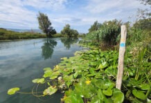 Hutovo blato – Močvara koja se mijenja