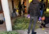 FOTO | U Čapljini pronađena plantaža kanabisa, dvije osobe uhićene