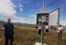 FOTO | Zbog vrućima: Nasade mandarina u dolini Neretve zamijenit će avokado