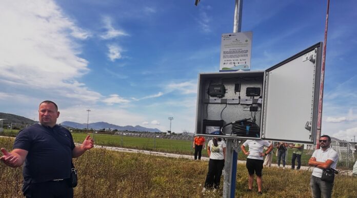 FOTO | Zbog vrućima: Nasade mandarina u dolini Neretve zamijenit će avokado