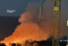 Grad reagirao na požar u Adi: Traže kazne za odgovorne i najavljuju javnu tribinu