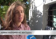VIDEO | Druga likovna kolonija “Hercegovački zeman i boje” u Počitelju