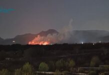 FOTO | Vatrena noć u Višićima: Vatrogasci satima gasili veliki požar