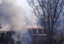 FOTO | U Trebižatu izgorjele košnice, šteta ogromna